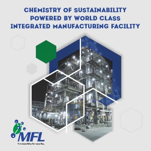 Meghmani Finechem Meghmani Finechem